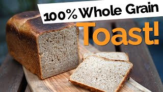 Mastering Whole Grain Sourdough ?: The Ultimate Toast Bread Recipe ?