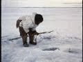 Group Hunting on the Spring Ice (3) - PREVIEW