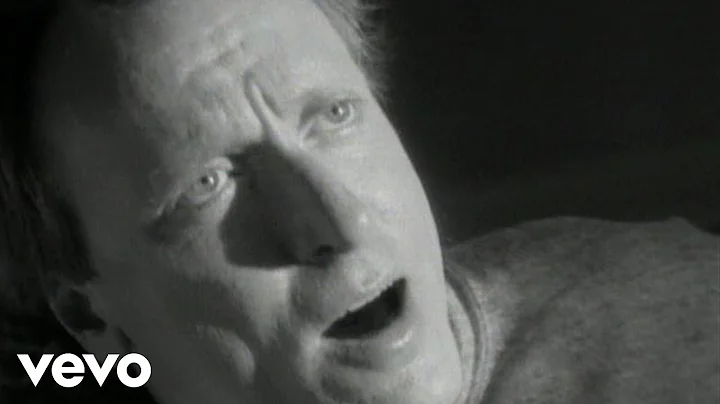 Les Taylor - Shoulda, Coulda, Woulda Loved You
