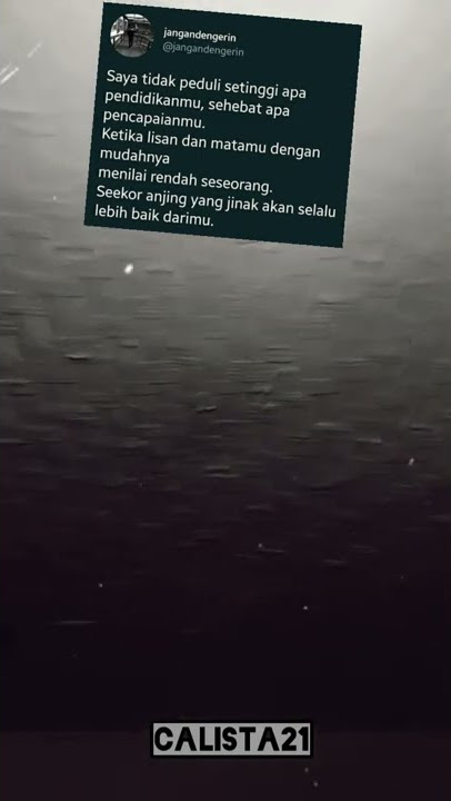 Story wa ' jangan merendahkan orang' #quotes  #shorts