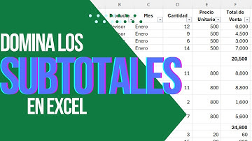 ¡Domina los Subtotales en Excel en 3 Minutos!