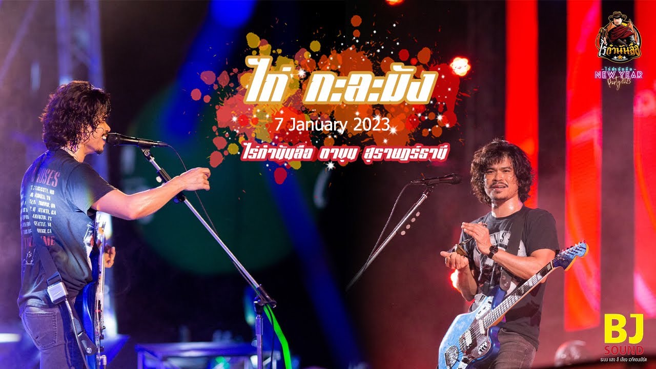 ไก่กะละมัง แสดงสด @ไร่กำนันลือ ตาขุน  สุราษฎร์ธานี