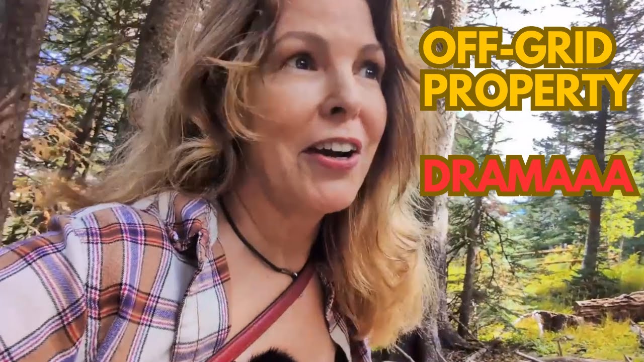 Обновления по недвижимости, не подключенной к электросети, драма в ТСЖ и перерыв для психического...