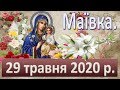 Маївка. 29 травня 2020.