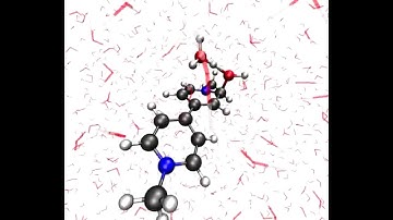 Photochemistry of Aqueous Methyl Viologen