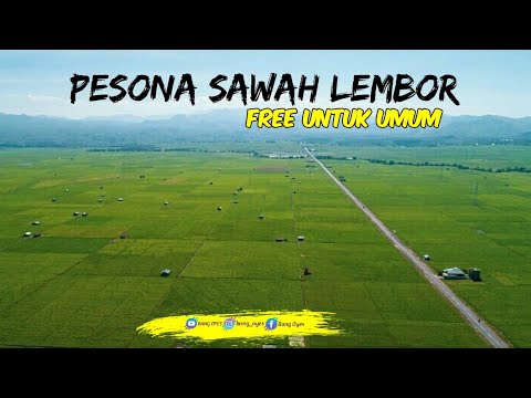 Sawah Lembor 2021 - YouTube
