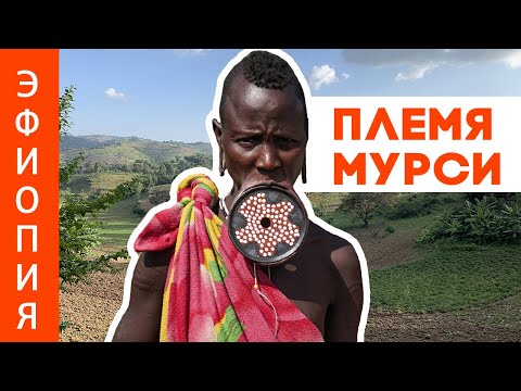 ЭФИОПИЯ | АФРИКАНСКОЕ ПЛЕМЯ МУРСИ