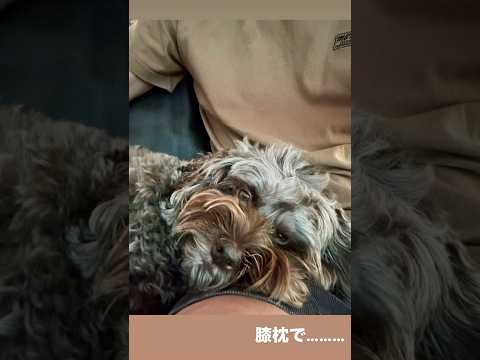 木村拓哉 工藤静香 Kōki Cocomi @takuya_kimura_takuya @kudo_shizuka @koki @cocomi_553_official