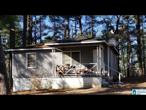 224 14Th Ave Sw, Birmingham, AL home video tour