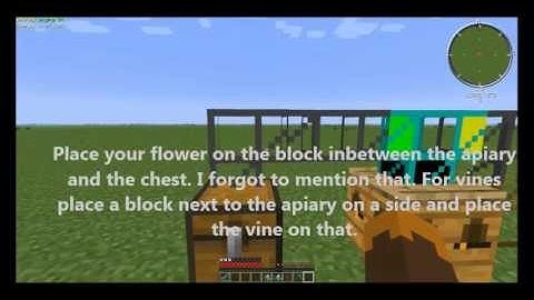 FTB Simple Compact Automated Bee Apiary