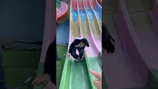 7633002952274496179
