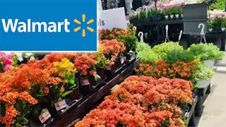 Walmart Garden Center Inventory May 2024