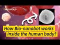 Inside the Human Body: How Bio-nanobots Deliver Targeted Medicine