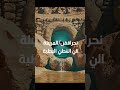 ماذا فعل المزارعون العرب القدماء قبل اختراع المضخّات؟ #AgriHistory #Shorts #الزراعة