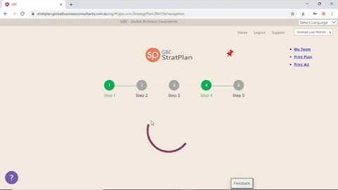 StratPlan Masterclass (Small Business Planning Software)
