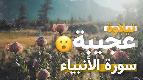 القارئ بلال دربالي سورة الانبياء تلاوة عجيبة