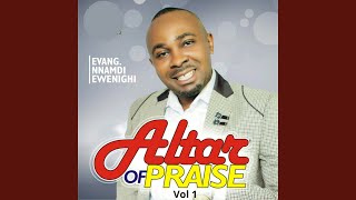 Altar of Praise, Vol. 1