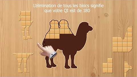 Block Puzzle Jigsaw - Wood Puz Part 1 (French Edition)