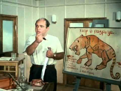 Тигр в разрезе