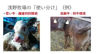 【第23回】人工授精の種類　ゼロから学ぶ酪農
