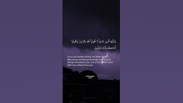آيه 27-28 من سورة الأنفال بصوت الشيخ عمر هشام - #القرآن_الكريم