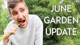 What&#39;s Been Growing in Our Garden in June? | Latvian Farmhouse Garden Update
