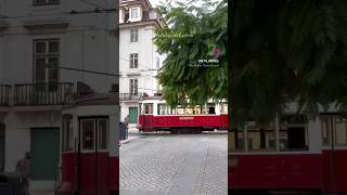 리스본 여행코스 요약본!🚋 #포르투갈여행 #portugal #리스본여행 #travel #lisboa #근교여행 #신트라 #여행코스 #제로니무스수도원 #겨울여행#트램