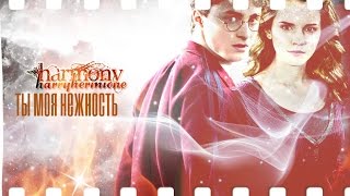 картинка: Harry+Hermione | Ты моя нежность
