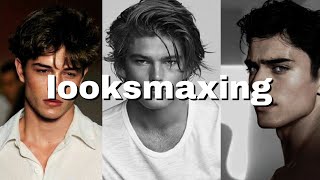 looksmaxing хэрэгтэй гж үү?