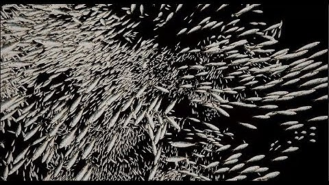 Fish school in Unreal Engine 5 Niagara(GPU)