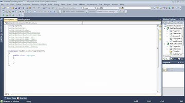 DataForm- Part 3: Integrating with RadGridView (Silverlight & WPF)