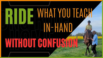 From In-Hand to Ridden: Teaching the Horse Seamless Lateral Aids