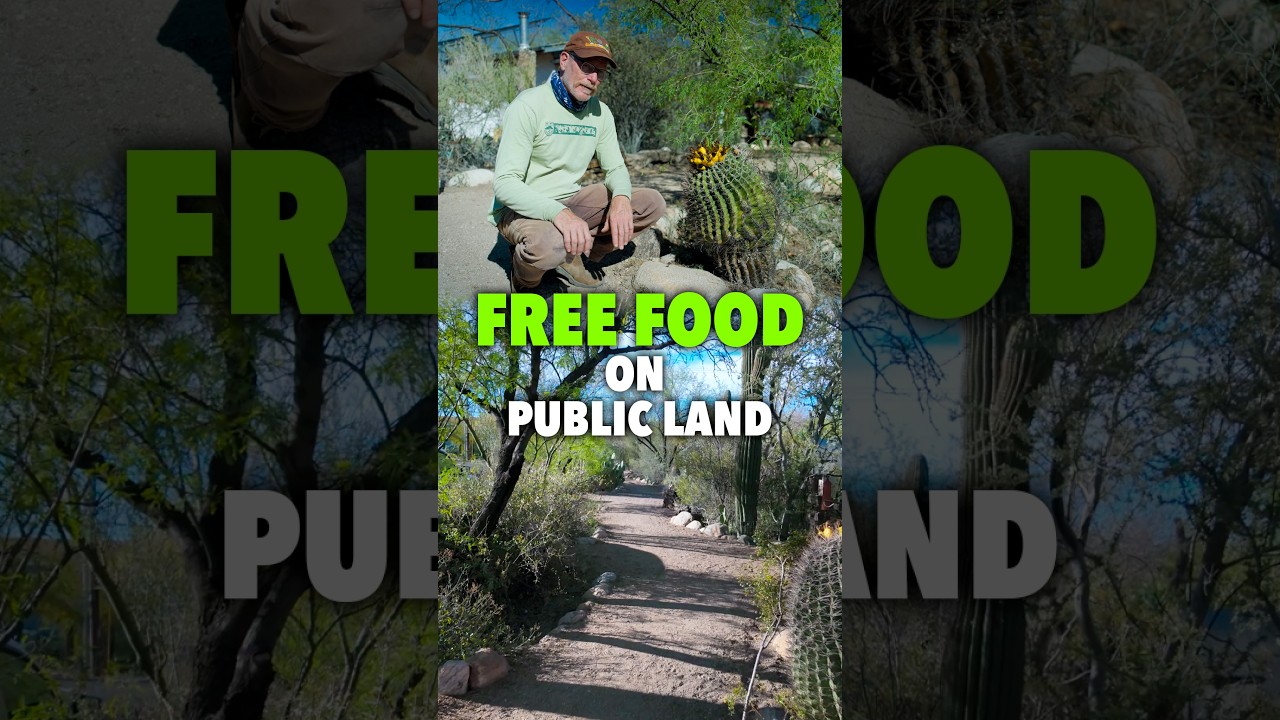 Latest Title & Thumbnail