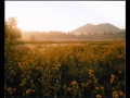 George Winston - The Garden from his solo piano album SUMMER
