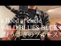【弾き語り】WILD BUNNY BLUES/野うさぎのブルース /a flood of circle