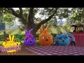 Videos For Kids | SUNNY BUNNIES - YOU HARVEST WHAT YOU SOW | Season 3