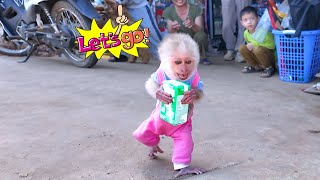 Adorable Baby Monkey Yuli Surprises Dad By Asking For Money To Buy Her Milk