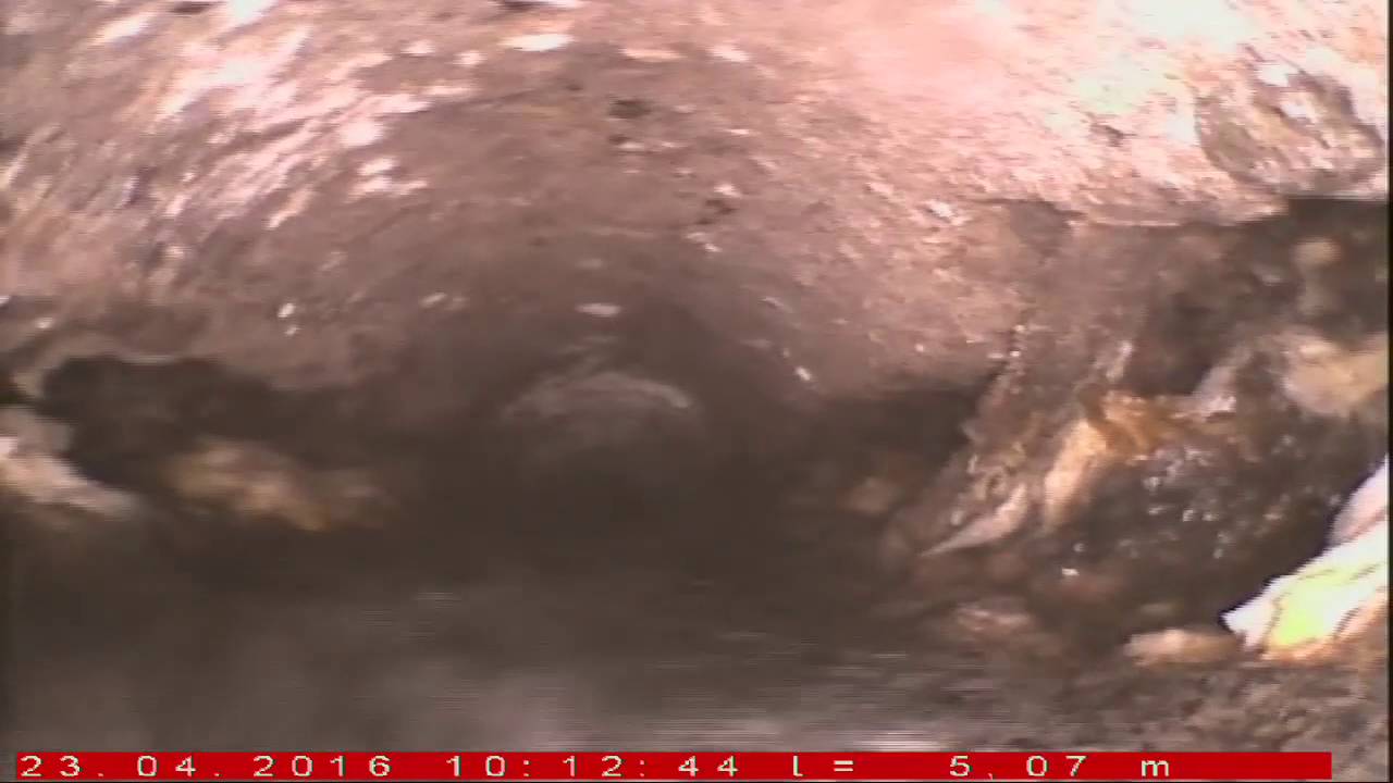 Gutenb.1 vi2016.04.23 