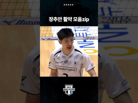 장추안 활약 모음zip