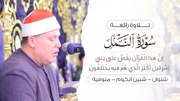 الشيخ حجاج الهنداوى | حالة من الخشوع والتجلى من الله فى تلاوة من سورة النمل | شنوان منوفية 4 11 2024