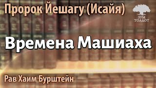 Пророк Йешагу (Исайя) о временах Машиаха. Р. Хаим Бурштейн.