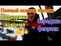 Пчелам СРОЧНО нужна подкормка!!! Полный осмотр пасеки. Пчеловодство на Урале