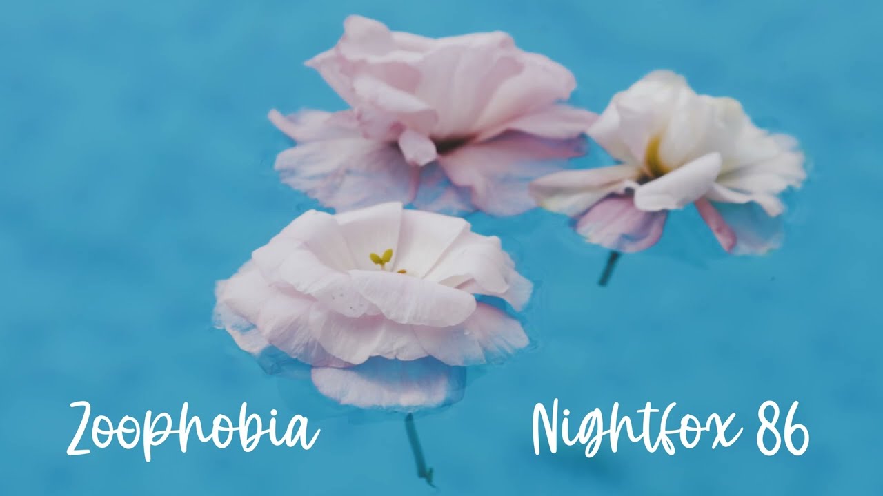 Watch NIGHTFOX 86 | Zoophobia on YouTube Watch NIGHTFOX 86 | Zoophobia on YouTube