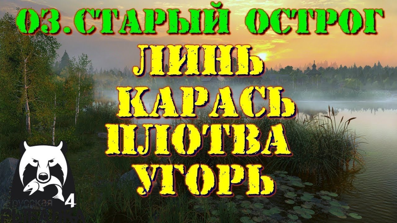 🎁💣БЕГАЮ ПО ТОЧКАМ ФАРМА ОСТРОГ РР4/RR4🌋🎁