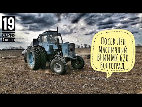 Посев Лён Масличный Волгоградская область 2022г.