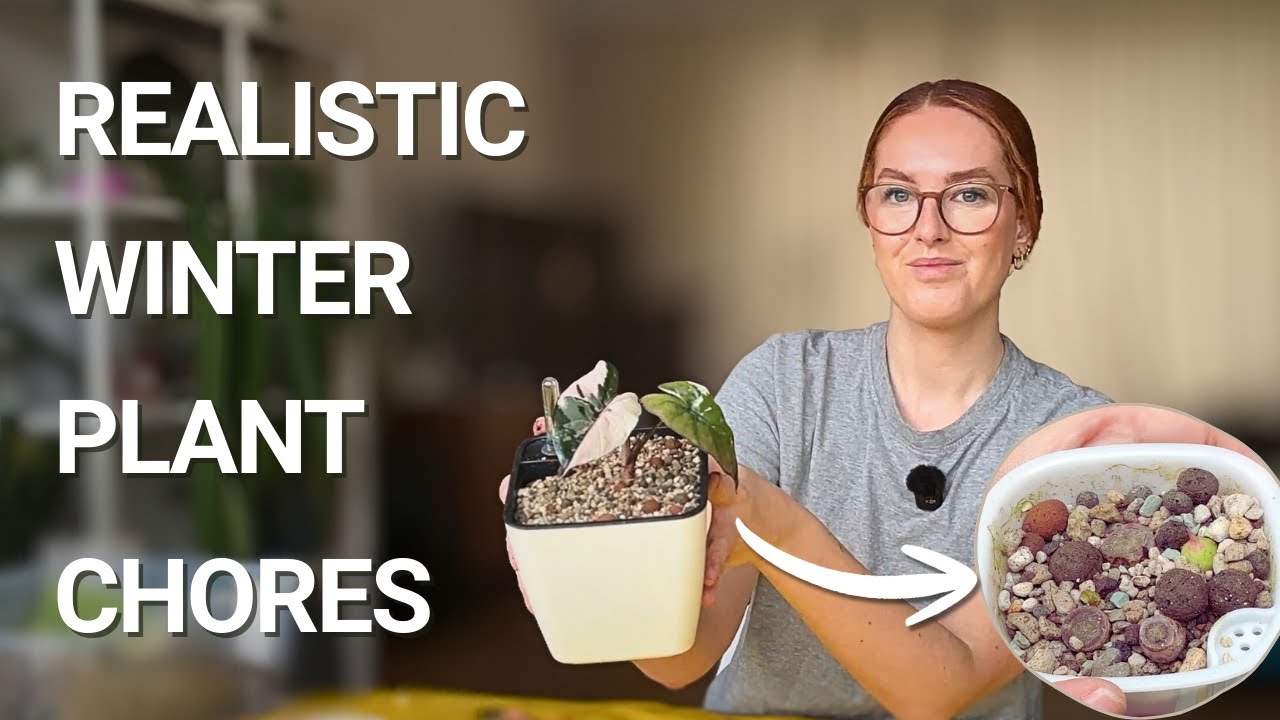 The Reality of Winter Plant Care ❄️ Dead Plants & Repotting