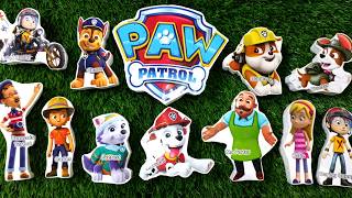 Satisfying ASMR Paw Patrol Rubble Marshall Rocky Everest, Chase and opening video #compilation