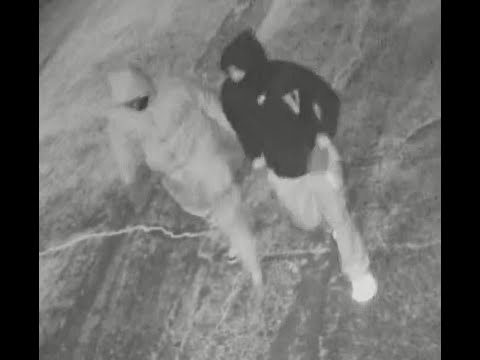 <p>Columbus Police Homicide Bureau detectives need help identifying two individuals seen on surveillance video walking away from a car last month where the body of a missing man was discovered.</p>