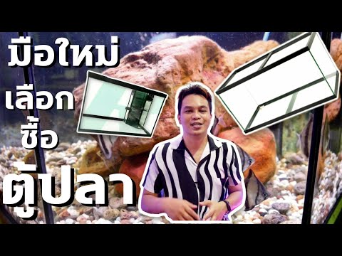 มือใหม่ เลือกซื้อตู้ปลา ตู้โล่ง ตู้กรอง EP.28 : ฮัลโหล พาเพลิน | พาเพลิน อะควาติก