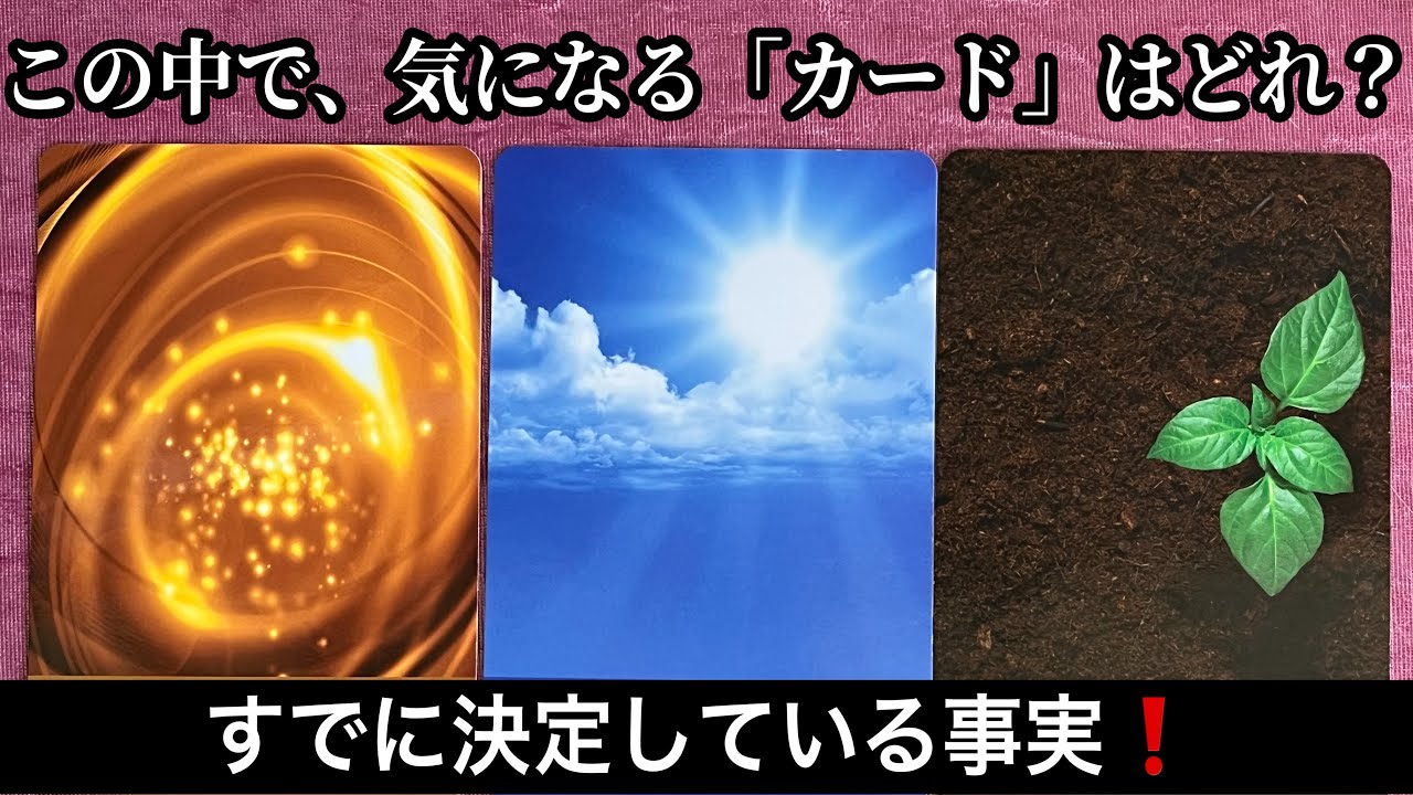 【実は❗️すでに８割決まっている⚡️】ものすごい展開【ルノルマンカードリーディング占い】恐ろしいほど当たる😱